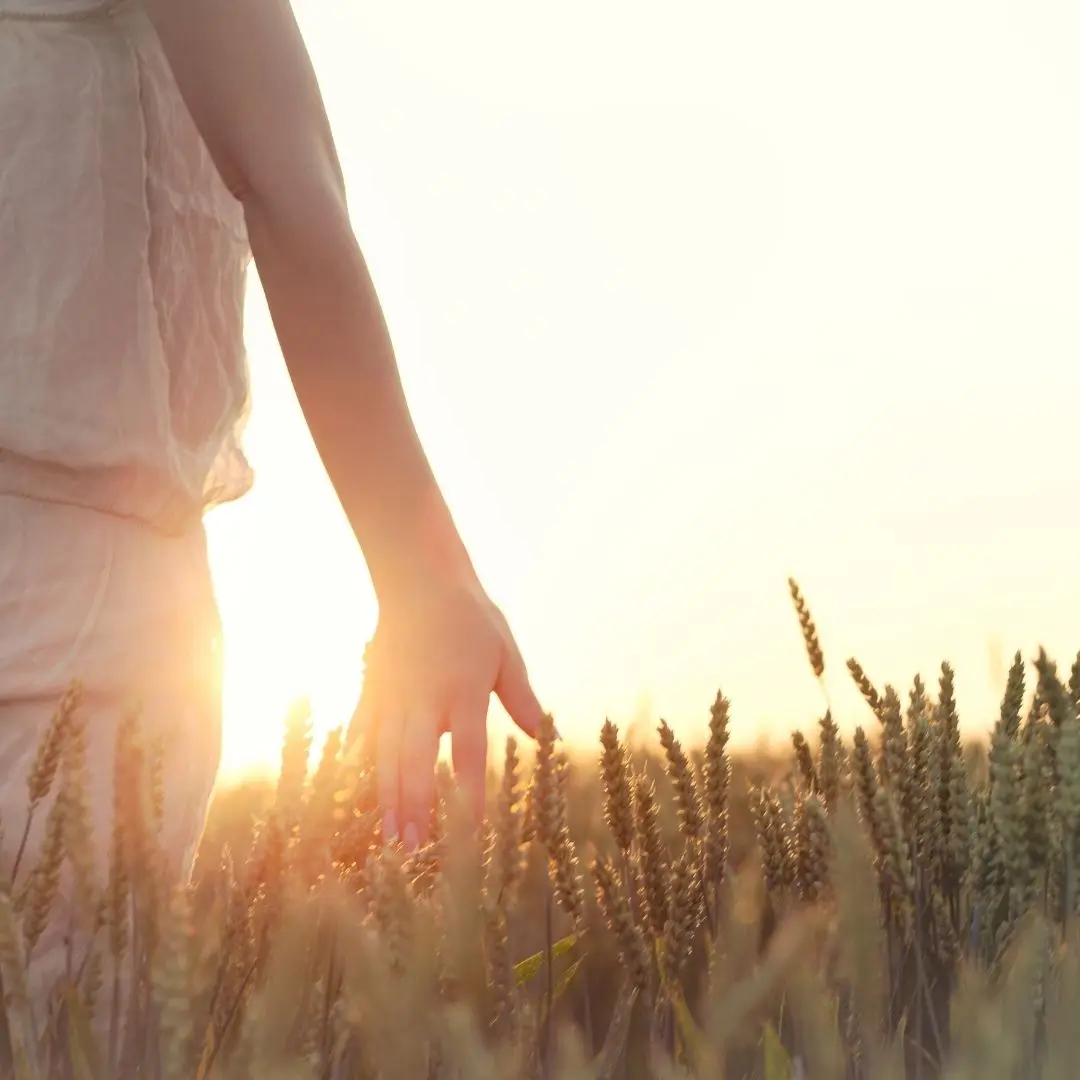 Woman walking through a sunlit wheat field, hand brushing the grain